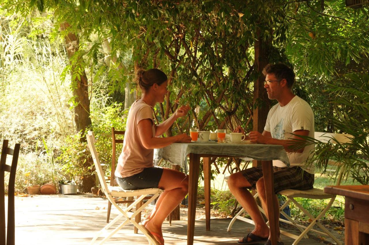 Ca' Barbona Bed & Breakfast Lido di Classe Eksteriør bilde
