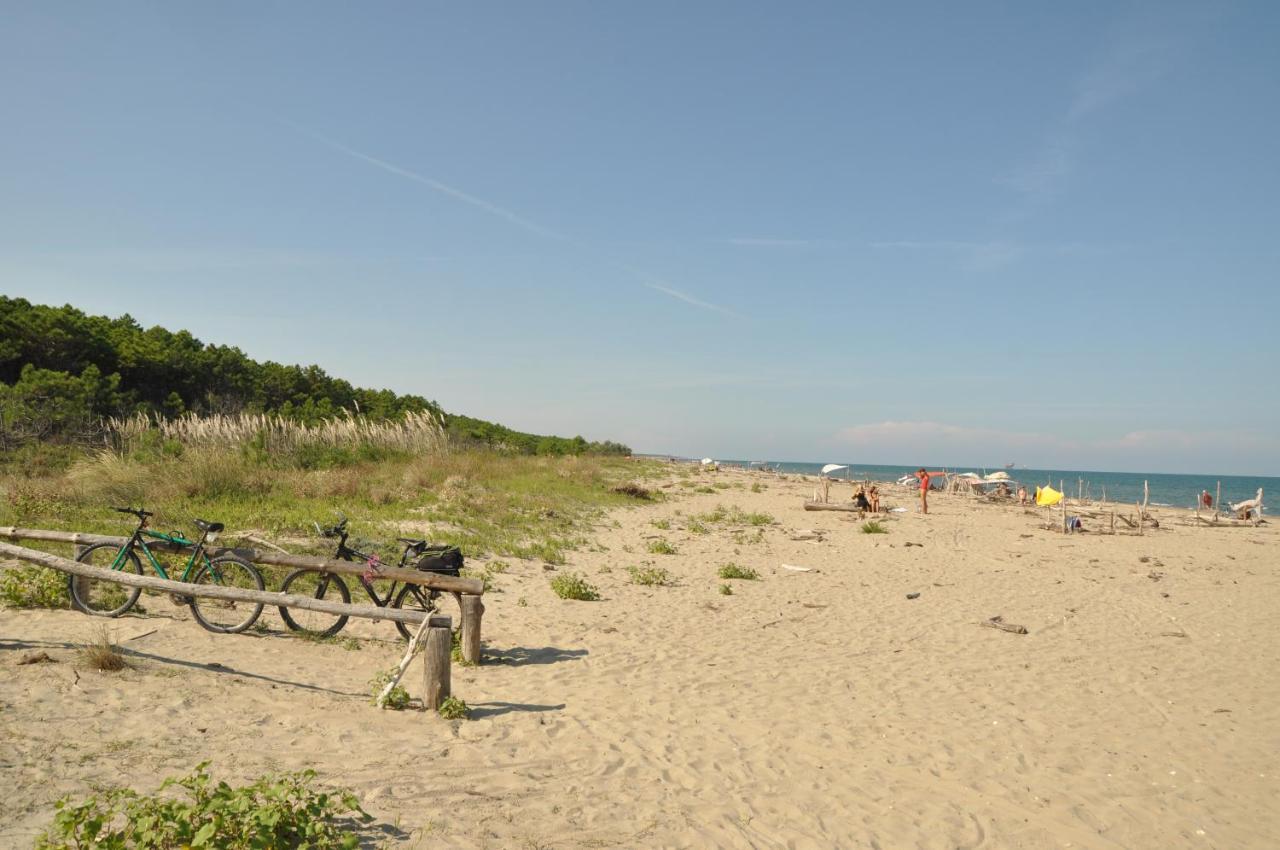 Ca' Barbona Bed & Breakfast Lido di Classe Eksteriør bilde
