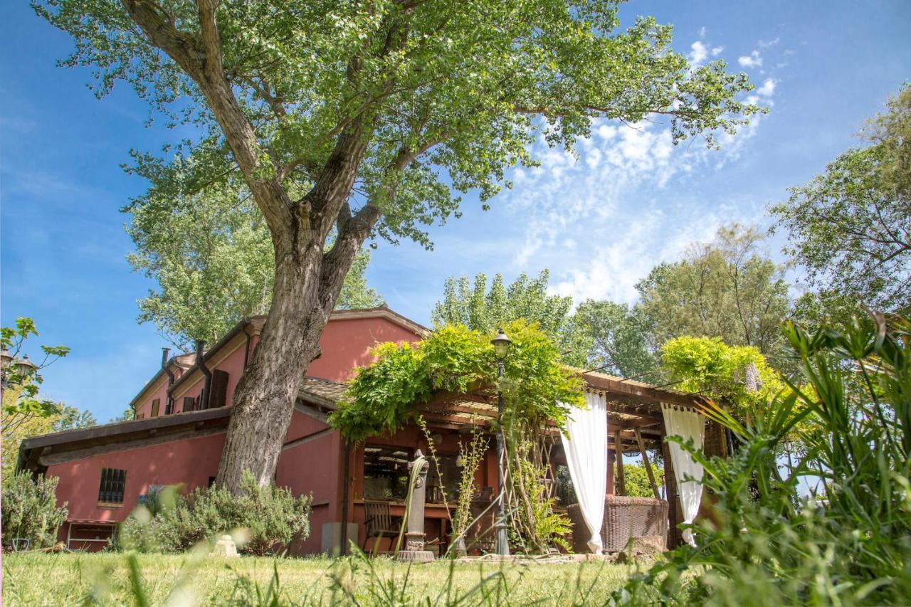 Ca' Barbona Bed & Breakfast Lido di Classe Eksteriør bilde