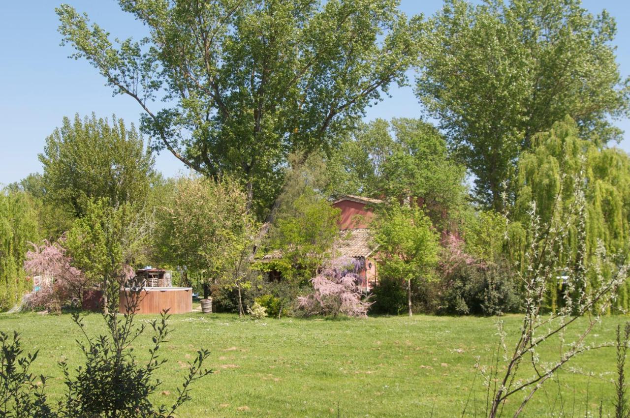 Ca' Barbona Bed & Breakfast Lido di Classe Eksteriør bilde