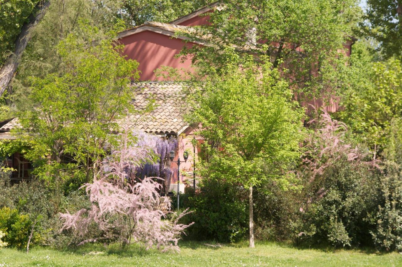 Ca' Barbona Bed & Breakfast Lido di Classe Eksteriør bilde