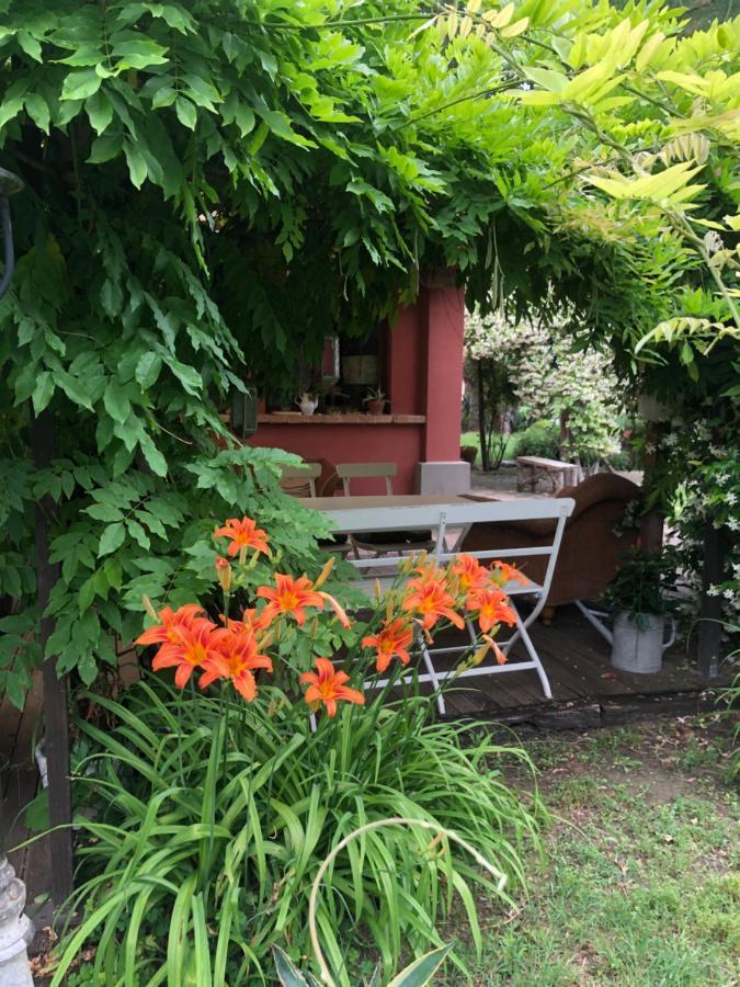 Ca' Barbona Bed & Breakfast Lido di Classe Eksteriør bilde